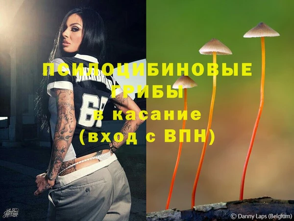прущая мука Алексин