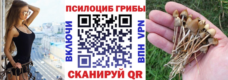 Псилоцибиновые грибы GOLDEN TEACHER  где найти наркотики  Канск 