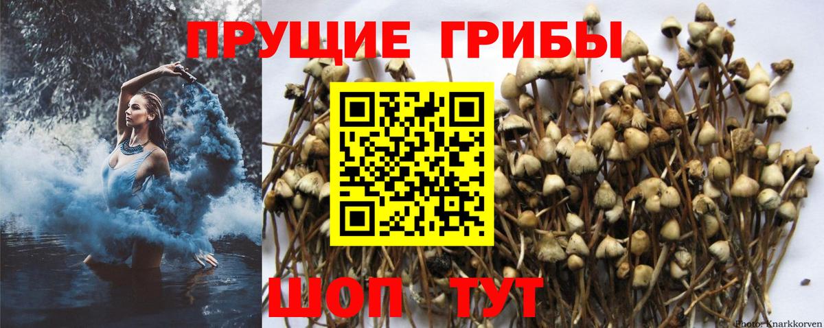 Псилоцибиновые грибы Magic Shrooms Канск
